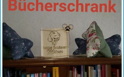 Bücherschrank